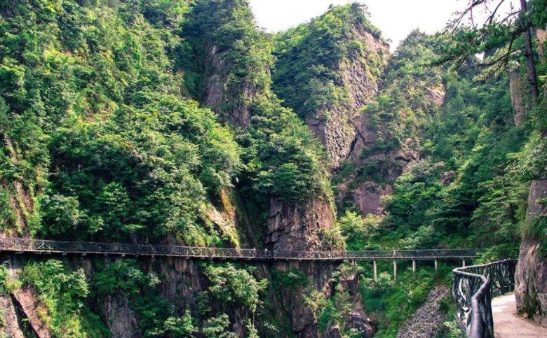 中伟股份：24年出货有望维持20-30%增长，一体化比例提升